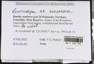 Lewinskya sordida (Sull. & Lesq.) F. Lara, Garilleti & Goffinet, Bryophytes, Bryophytes - Russian Far East (excl. Chukotka & Kamchatka) (B20) (Russia)