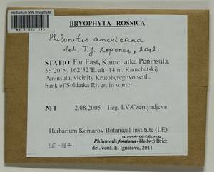 Philonotis americana Dism., Bryophytes, Bryophytes - Chukotka & Kamchatka (B21) (Russia)