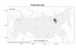 Potentilla tollii Trautv., Atlas of the Russian Flora (FLORUS) (Russia)