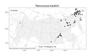 Ranunculus karelinii Czerep., Atlas of the Russian Flora (FLORUS) (Russia)