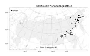 Saussurea pseudoangustifolia Lipsch., Atlas of the Russian Flora (FLORUS) (Russia)
