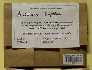 Andreaea blyttii Schimp., Bryophytes, Bryophytes - Krasnoyarsk Krai, Tyva & Khakassia (B17) (Russia)