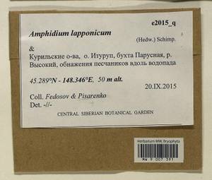 Amphidium lapponicum (Hedw.) Schimp., Bryophytes, Bryophytes - Russian Far East (excl. Chukotka & Kamchatka) (B20) (Russia)