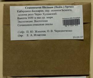 Cratoneuron filicinum (Hedw.) Spruce, Bryophytes, Bryophytes - North Caucasus & Ciscaucasia (B12) (Russia)