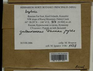 Bryhnia, Bryophytes, Bryophytes - Russian Far East (excl. Chukotka & Kamchatka) (B20) (Russia)