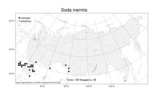 Soda inermis (Moench) Fourr., Atlas of the Russian Flora (FLORUS) (Russia)