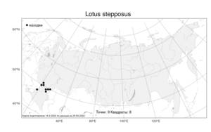 Lotus stepposus Kramina, Atlas of the Russian Flora (FLORUS) (Russia)