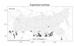 Euphorbia humifusa Willd., Atlas of the Russian Flora (FLORUS) (Russia)