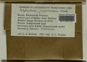Polytrichum juniperinum Hedw., Bryophytes, Bryophytes - Russian Far East (excl. Chukotka & Kamchatka) (B20) (Russia)