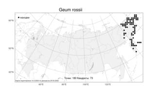 Geum rossii (R. Br.) Ser., Atlas of the Russian Flora (FLORUS) (Russia)