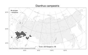 Dianthus campestris M. Bieb., Atlas of the Russian Flora (FLORUS) (Russia)