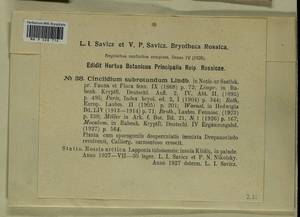 Cinclidium subrotundum Lindb., Bryophytes, Bryophytes - Karelia, Leningrad & Murmansk Oblasts (B4) (Russia)