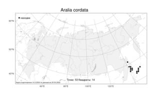 Aralia cordata Thunb., Atlas of the Russian Flora (FLORUS) (Russia)