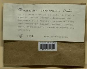 Dicranum scoparium Hedw., Bryophytes, Bryophytes - Transcaucasia (B13) (South Ossetia)
