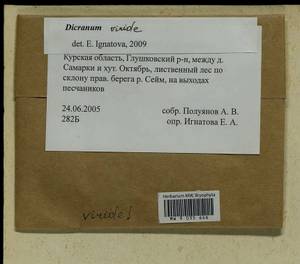 Dicranum viride (Sull. & Lesq.) Lindb., Bryophytes, Bryophytes - Central forest-and-steppe region (B10) (Russia)