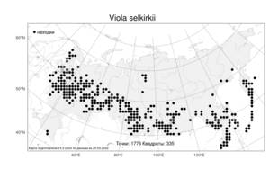 Viola selkirkii Pursh ex Goldie, Atlas of the Russian Flora (FLORUS) (Russia)