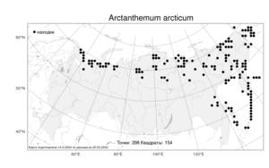 Arctanthemum arcticum (L.) Tzvelev, Atlas of the Russian Flora (FLORUS) (Russia)