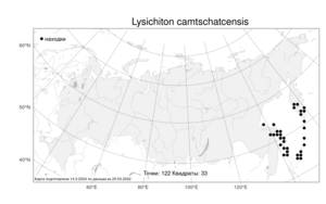 Lysichiton camtschatcensis (L.) Schott, Atlas of the Russian Flora (FLORUS) (Russia)