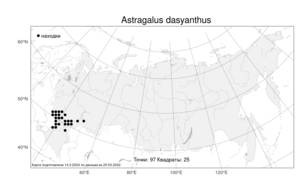 Astragalus dasyanthus Pall., Atlas of the Russian Flora (FLORUS) (Russia)