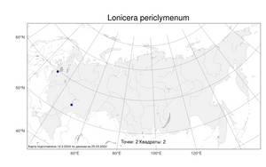 Lonicera periclymenum L., Atlas of the Russian Flora (FLORUS) (Russia)