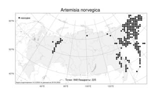Artemisia norvegica Fr., Atlas of the Russian Flora (FLORUS) (Russia)