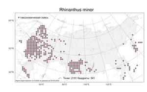 Rhinanthus minor L., Atlas of the Russian Flora (FLORUS) (Russia)