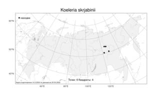Koeleria skrjabinii Karav. & Tzvelev, Atlas of the Russian Flora (FLORUS) (Russia)