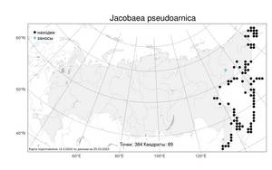 Jacobaea pseudoarnica (Less.) Zuev, Atlas of the Russian Flora (FLORUS) (Russia)