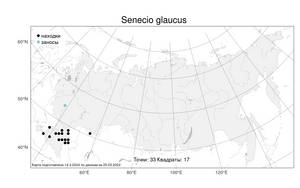 Senecio glaucus L., Atlas of the Russian Flora (FLORUS) (Russia)