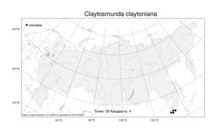 Claytosmunda claytoniana (L.) Metzgar & Rouhan, Atlas of the Russian Flora (FLORUS) (Russia)