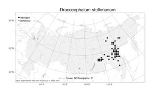 Dracocephalum stellerianum Hiltebr., Atlas of the Russian Flora (FLORUS) (Russia)