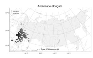 Androsace elongata L., Atlas of the Russian Flora (FLORUS) (Russia)
