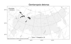 Gentianopsis detonsa (Rottb.) Ma, Atlas of the Russian Flora (FLORUS) (Russia)