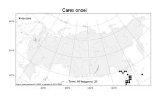 Carex onoei Franch. & Sav., Atlas of the Russian Flora (FLORUS) (Russia)