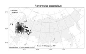 Ranunculus cassubicus L., Atlas of the Russian Flora (FLORUS) (Russia)