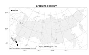 Erodium ciconium (L.) L'Hér., Atlas of the Russian Flora (FLORUS) (Russia)