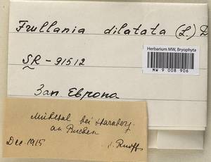 Frullania dilatata (L.) Dumort., Bryophytes, Bryophytes - Western Europe (BEu) (Germany)