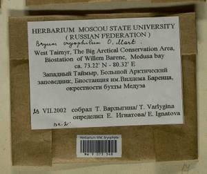 Ptychostomum cryophilum (Mårtensson) J.R. Spence, Bryophytes, Bryophytes - Krasnoyarsk Krai, Tyva & Khakassia (B17) (Russia)