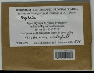 Bryhnia, Bryophytes, Bryophytes - Asia (outside ex-Soviet states) (BAs) (Japan)