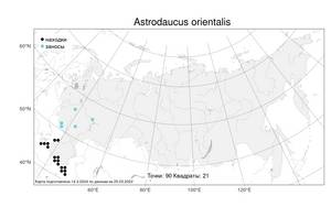 Astrodaucus orientalis (L.) Drude, Atlas of the Russian Flora (FLORUS) (Russia)
