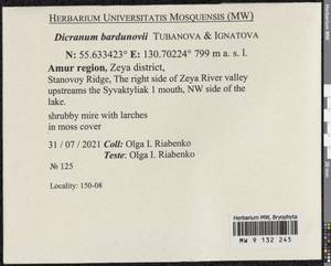Dicranum bardunovii Tubanova & Ignatova, Bryophytes, Bryophytes - Russian Far East (excl. Chukotka & Kamchatka) (B20) (Russia)