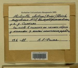 Abietinella abietina (Hedw.) M. Fleisch., Bryophytes, Bryophytes - Middle Volga (B9) (Russia)