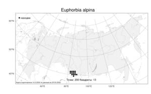 Euphorbia alpina Ledeb., Atlas of the Russian Flora (FLORUS) (Russia)