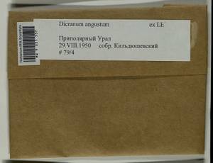 Dicranum angustum Lindb., Bryophytes, Bryophytes - Western Siberia (including Altai) (B15) (Russia)