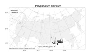 Polygonatum sibiricum Redouté, Atlas of the Russian Flora (FLORUS) (Russia)