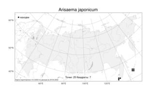 Arisaema japonicum Blume, Atlas of the Russian Flora (FLORUS) (Russia)