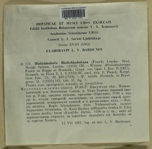 Mielichhoferia mielichhoferiana (Funck) Loeske, Bryophytes, Bryophytes - Baikal & Transbaikal regions (B18) (Russia)