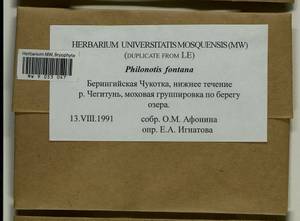 Philonotis fontana (Hedw.) Brid., Bryophytes, Bryophytes - Chukotka & Kamchatka (B21) (Russia)