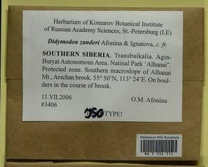 Husnotiella rufidula (Müll. Hal.) J.A. Jiménez & M.J. Cano, Bryophytes, Bryophytes - Baikal & Transbaikal regions (B18) (Russia)