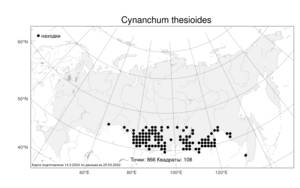 Cynanchum thesioides (Freyn) K. Schum., Atlas of the Russian Flora (FLORUS) (Russia)